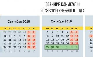 В школах россии приближаются осенние каникулы